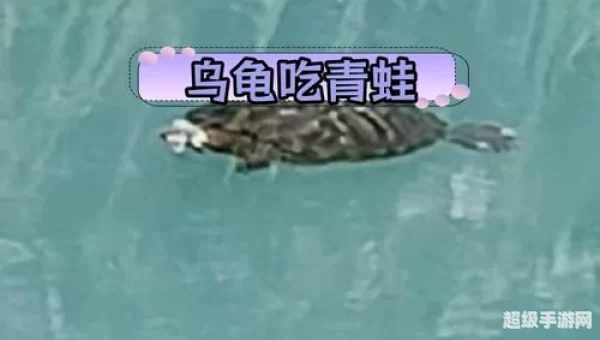 旅行青蛙乌龟爱吃什么